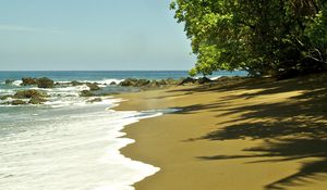 Preview wallpaper beach, sea, foam, palm trees, tropics