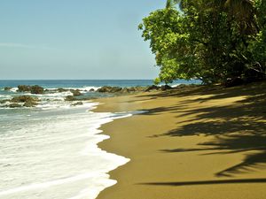 Preview wallpaper beach, sea, foam, palm trees, tropics