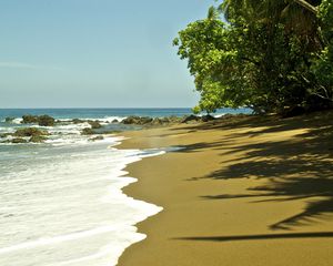 Preview wallpaper beach, sea, foam, palm trees, tropics