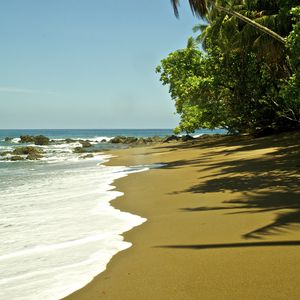Preview wallpaper beach, sea, foam, palm trees, tropics
