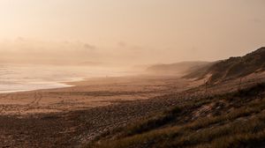 Preview wallpaper beach, sea, fog, bird, landscape