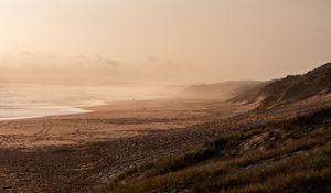 Preview wallpaper beach, sea, fog, bird, landscape