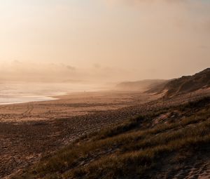 Preview wallpaper beach, sea, fog, bird, landscape