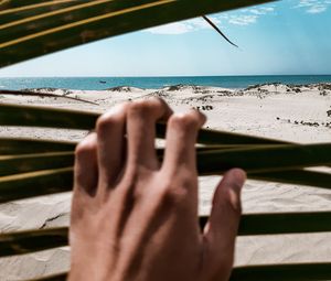 Preview wallpaper beach, sea, hand, sand, leaves