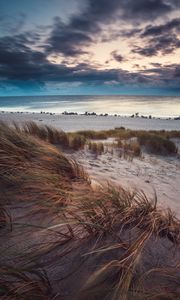 Preview wallpaper beach, sea, horizon, grass, sand