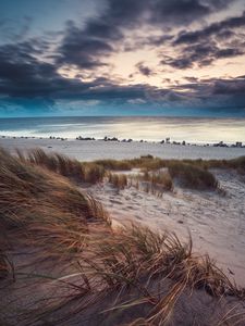 Preview wallpaper beach, sea, horizon, grass, sand