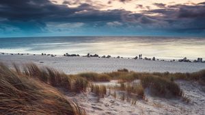 Preview wallpaper beach, sea, horizon, grass, sand