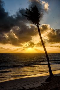 Preview wallpaper beach, sea, palm tree, tropics, evening