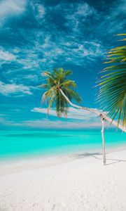 Preview wallpaper beach, sea, palm trees, summer, tropics