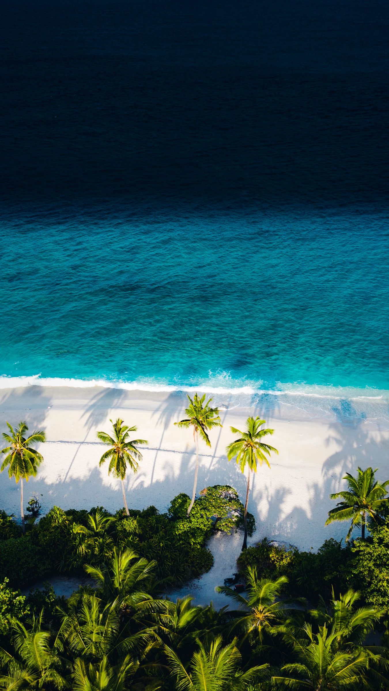 Download wallpaper 1350x2400 beach, sea, palm trees, aerial view iphone