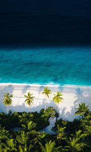 Preview wallpaper beach, sea, palm trees, aerial view