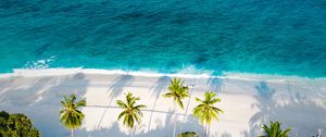 Preview wallpaper beach, sea, palm trees, aerial view