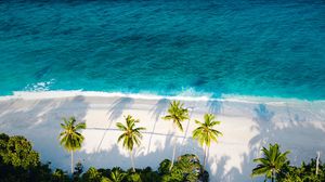 Preview wallpaper beach, sea, palm trees, aerial view