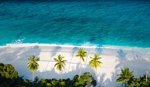 Preview wallpaper beach, sea, palm trees, aerial view