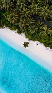 Preview wallpaper beach, sea, palm trees, tropics, summer