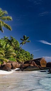 Preview wallpaper beach, sea, palm trees, summer, landscape