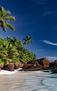 Preview wallpaper beach, sea, palm trees, summer, landscape
