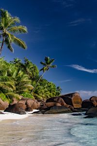 Preview wallpaper beach, sea, palm trees, summer, landscape