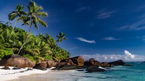 Preview wallpaper beach, sea, palm trees, summer, landscape