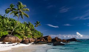 Preview wallpaper beach, sea, palm trees, summer, landscape
