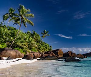 Preview wallpaper beach, sea, palm trees, summer, landscape