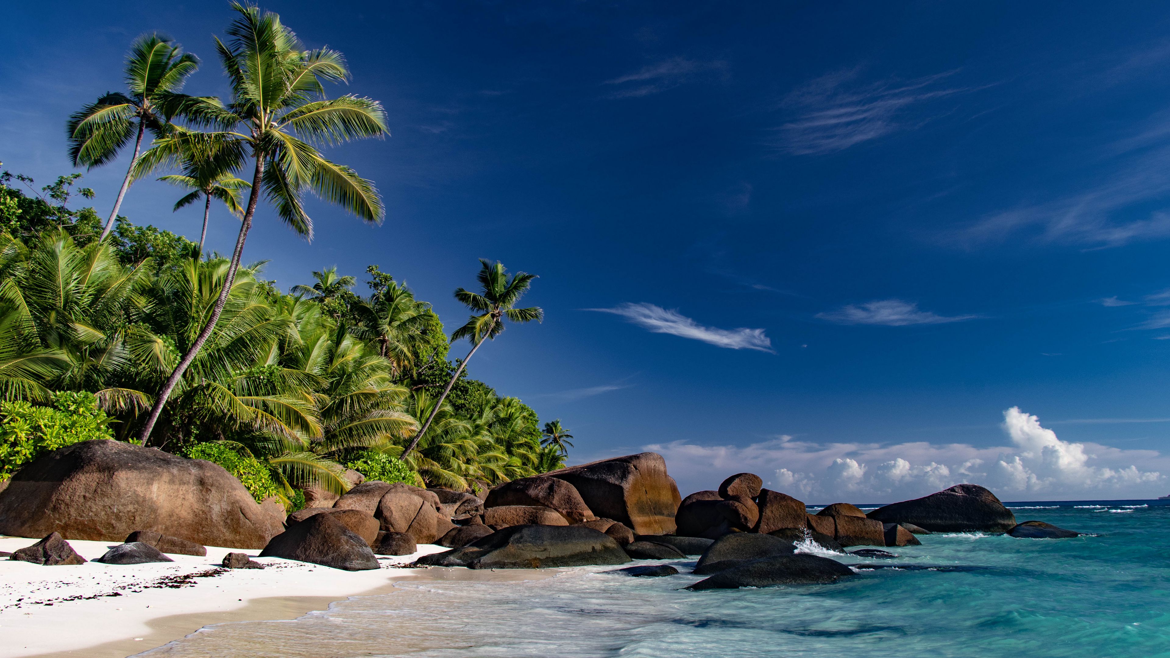 Download Wallpaper 3840x2160 Coast, Sea, Palm Trees, Island, Tropics 4k