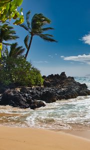 Preview wallpaper beach, sea, palm trees, island, tropics, summer