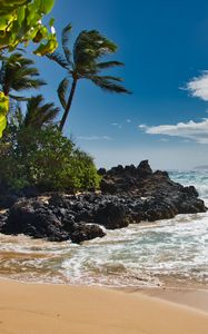 Preview wallpaper beach, sea, palm trees, island, tropics, summer