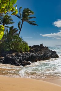 Preview wallpaper beach, sea, palm trees, island, tropics, summer