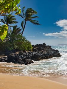 Preview wallpaper beach, sea, palm trees, island, tropics, summer