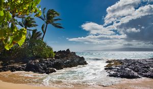 Preview wallpaper beach, sea, palm trees, island, tropics, summer