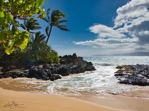 Preview wallpaper beach, sea, palm trees, island, tropics, summer