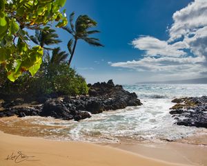 Preview wallpaper beach, sea, palm trees, island, tropics, summer