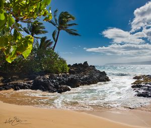 Preview wallpaper beach, sea, palm trees, island, tropics, summer