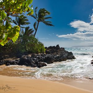 Preview wallpaper beach, sea, palm trees, island, tropics, summer