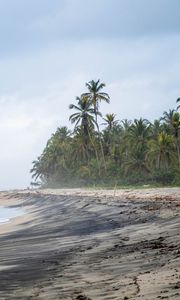 Preview wallpaper beach, sea, palm trees, landscape