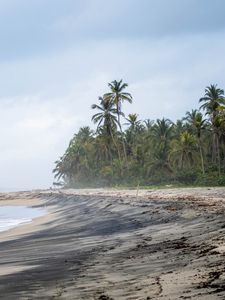 Preview wallpaper beach, sea, palm trees, landscape