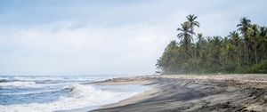 Preview wallpaper beach, sea, palm trees, landscape