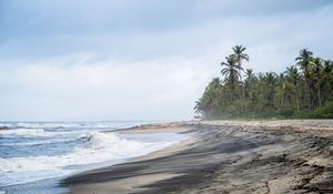 Preview wallpaper beach, sea, palm trees, landscape