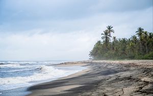 Preview wallpaper beach, sea, palm trees, landscape