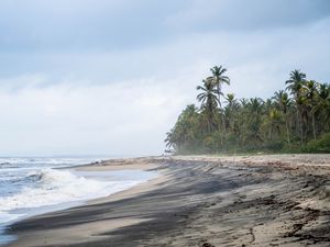 Preview wallpaper beach, sea, palm trees, landscape