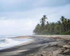 Preview wallpaper beach, sea, palm trees, landscape