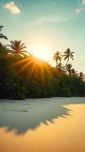 Preview wallpaper beach, sea, sand, palm trees, nature, landscape