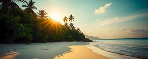 Preview wallpaper beach, sea, sand, palm trees, nature, landscape