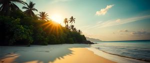 Preview wallpaper beach, sea, sand, palm trees, nature, landscape