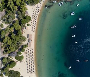 Preview wallpaper beach, sea, summer, aerial view