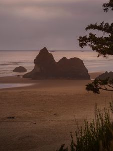 Preview wallpaper beach, sea, trees, landscape, nature