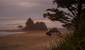 Preview wallpaper beach, sea, trees, landscape, nature