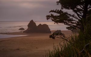 Preview wallpaper beach, sea, trees, landscape, nature