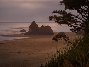 Preview wallpaper beach, sea, trees, landscape, nature